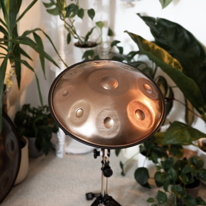 Mini AeloPan Handpan aus Edelstahl steht in einem gemütlichen Raum mit Pflanzen und anderen Handpans auf einem Handpan Ständer