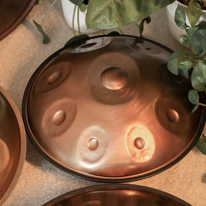 Mini AeloPan Handpan aus Edelstahl liegt zwischen anderen Handpans und Pflanzen auf dem Boden