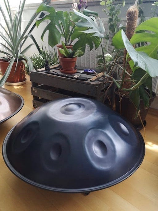 Eine schwarze Handpan steht vor meheren grünen Pflanzen auf dem Boden zum Probespielen im Showroom Stuttgart