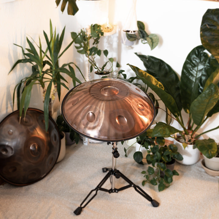 Eine Bronze gestreift glänzende AeloPan Handpan steht auf einem Ständer in einem schönen Raum zwischen Pflanzen