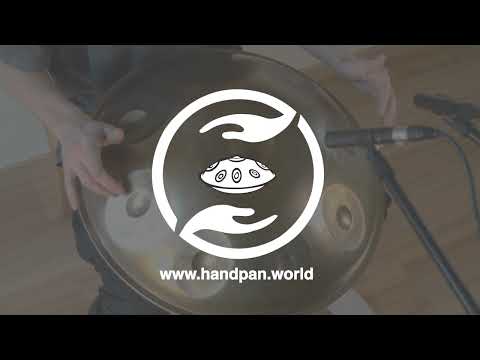 Handpanspieler spielt eine NamiPan Handpan aus Embersteel mit der Skala: D Kurd 9 